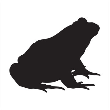 minimalist frog silhouette vector artwork with smooth lines for wildlife branding, eco-themed advertising, educational visuals, and decorative digital projects