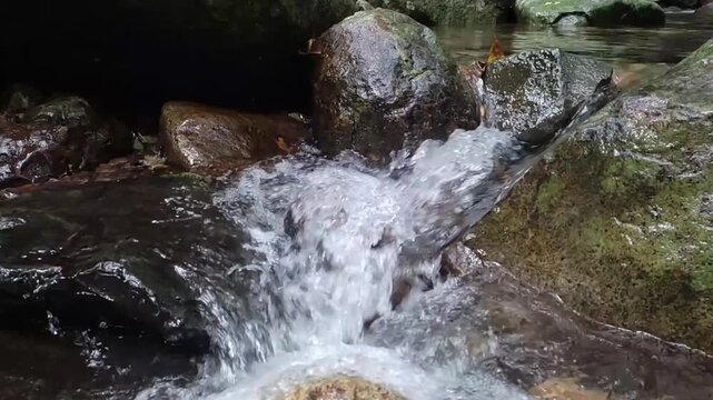 Clear fresh water flowing rapidly over dark wet rocks in a small mountain stream captured in high quality video footage showing the continuous motion of a natural babbling brook sequence
