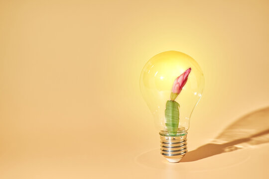 Creative Idea and Sustainable Innovation Concept