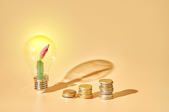 Blooming cactus inside glowing light bulb with three coin stacks of increasing height on beige background, progressive growth concept, copy space