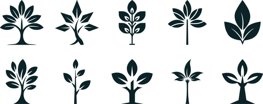 Simplified Sidra tree silhouette collection, different variations, for luxury packaging and bottle applications.
