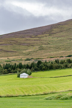 White barn in a field with a mountain in the background, Northern Iceland