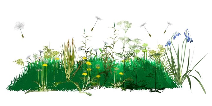 3D illustration of wildflowers and plants moving and rotating. Spreading pollen and dandelion seeds that trigger spring allergies. Graphic style with flat colors on a white background.