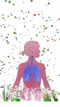 3D animated illustration of the human respiratory system (ENT and lungs). With wildflowers and pollen floating in the air that trigger spring allergies. Mixed with a woman's silhouette.