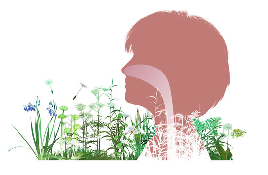3D animated illustration of a woman's head profile with the upper human respiratory system (ENT). Graphically mixed with wildflowers and pollen floating in the air that trigger spring allergies. 