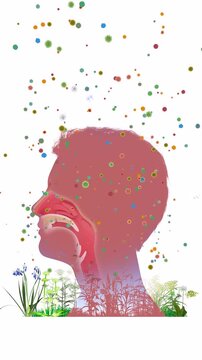3D animated illustration of a man's head profile with the upper human respiratory system (ENT). Graphically mixed with wildflowers and pollen swirling in the air, triggering spring allergies. 
