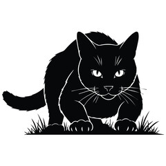 Cat silhouette stalking and hunting in the grass outdoors © HaMdRakibulIslam