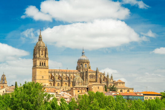 Cathedral of Salamanca and Green Trees on Sunny Day. Blue Sky with Clouds. Old Town, Spain