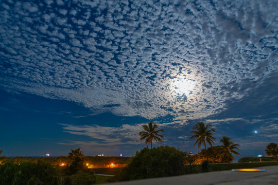 Tropical night landscape at beach with clouds and palms. Moonlight tropical sky with palm tree and dramatic cloud. Altocumulus clouds. Night sky with full moon behind clouds over palm tree horizon