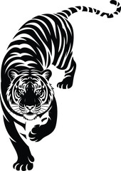 Professional vector silhouette of a Bengal tiger in a powerful stalking pose with detailed stripes and intense facial expression. © Afsana