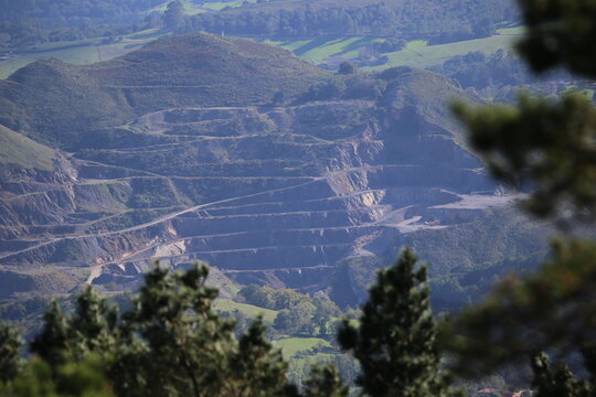 Plantaci&oacute;n