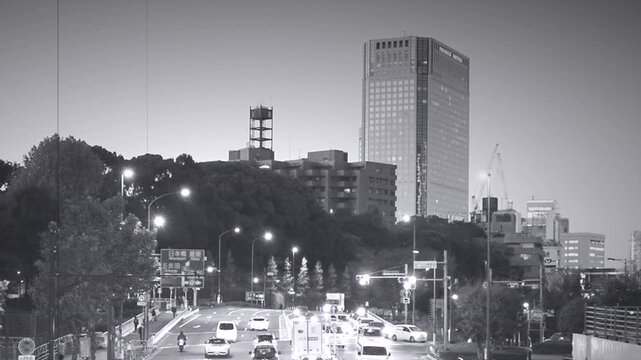 東京の幹線道路。