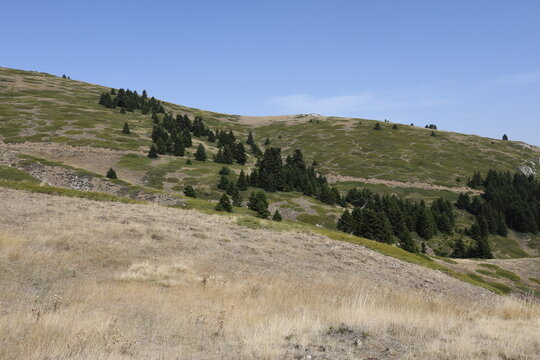 Mountain Oeta