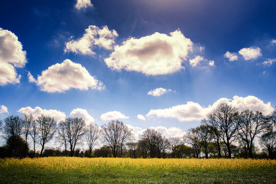 Ammerland Wiefelstede Sommer