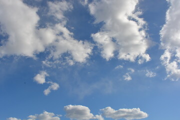 Fototapeta premium Bright nice weather, relaxation, entertainment, beauty, freedom. A beautiful blue sky with fluffy white clouds floating over the river.