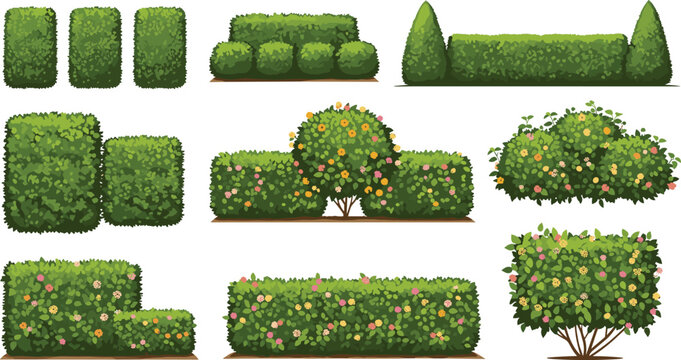 Garden Hedge and Flowering Bush Vector Set with Trimmed Topiary Trees and Colorful Rose Shrubs