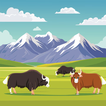 Cartoon yaks grazing peacefully in a vibrant green pasture against snowy mountains