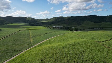 Obraz premium Aerial view of lush green sugar cane fields and rolling hills in the Dominican Republic