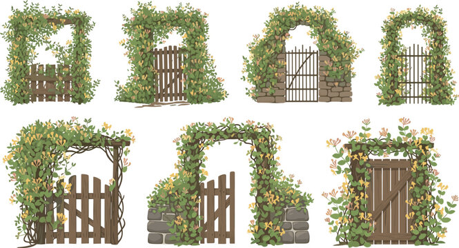 Garden Gate and Arch Vector Set with Climbing Honeysuckle Vines Stone Wooden Fence Designs