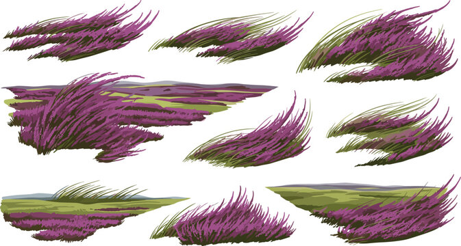 Purple Heather Windswept Moorland Bush Vector Set with Dynamic Grass and Field Landscape Scenes