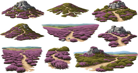 Purple Heather Moorland Rocky Landscape Vector Set with Hills Pathways and Scenic Nature Views © MdNipon