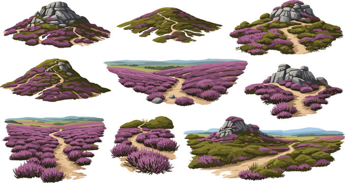 Purple Heather Moorland Rocky Landscape Vector Set with Hills Pathways and Scenic Nature Views
