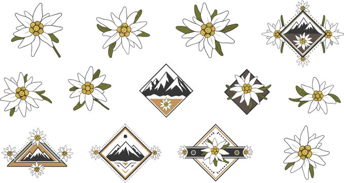 Edelweiss Alpine Flower and Mountain Diamond Logo Vector Set with Geometric Frame Designs
