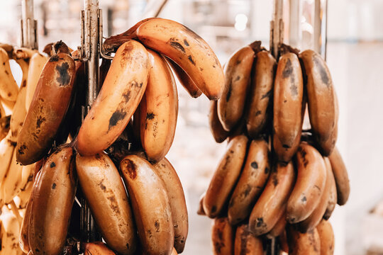 Red bananas hanging for sale at a fruit market, representing healthy food, tropical nutrition, and fresh produce