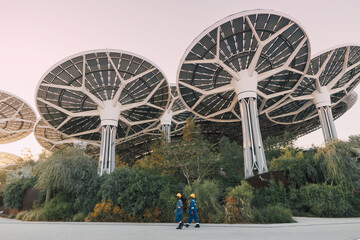 Fototapeta premium 13 January 2026, Dubai Expo City, UAE: Engineers walking along a pathway under large solar panels designed like trees, symbolizing renewable energy and a sustainable future