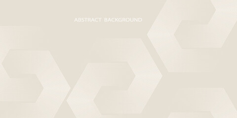 Fototapeta premium Abstract background with glowing white geometric line design. Modern glossy white hexagon line pattern for covers, posters, banners, presentations, and certificates.