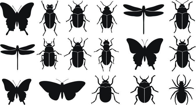 Collection of black silhouette insects including butterflies, beetles, dragonflies, and a spider white