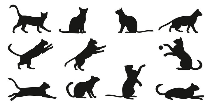 Six black cat silhouettes demonstrating athletic and calm behaviors including leaping deep stretching sitting upright isolated on a white background silhouette stretching collection movement