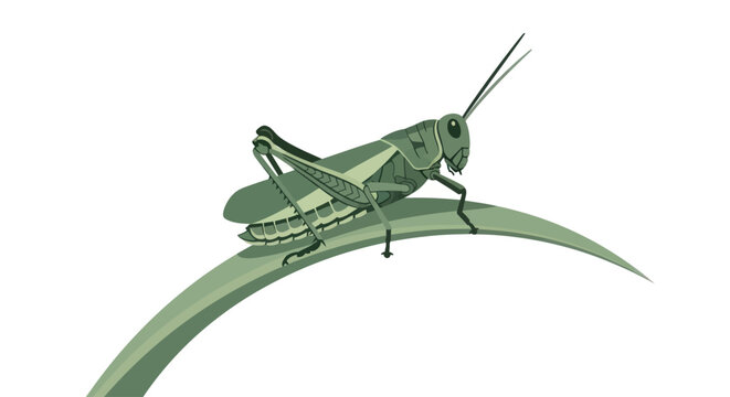 Green grasshopper on a leaf.