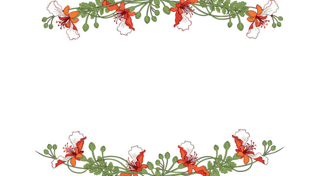 Horizontal floral borders featuring vibrant flamboyant tree flowers and green leaves on a clean white background.