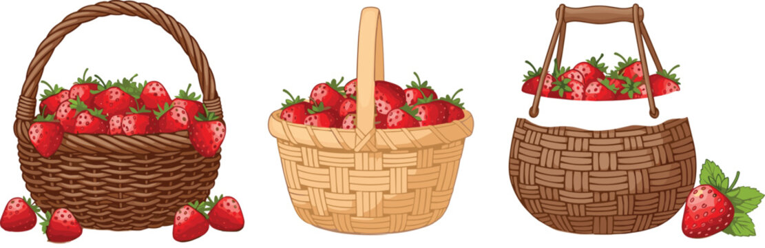 Strawberry Basket Set with Fresh Red Berries in Wicker Containers Rustic Farm Harvest Vector Illustration for Organic Food Market and Summer Design