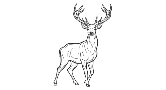 Majestic wild stag with large antlers, black and white line art illustration, animal drawing, nature wildlife monochrome sketch