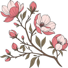peony flowers cluster different bloom stages on transparent background © Md.Ali