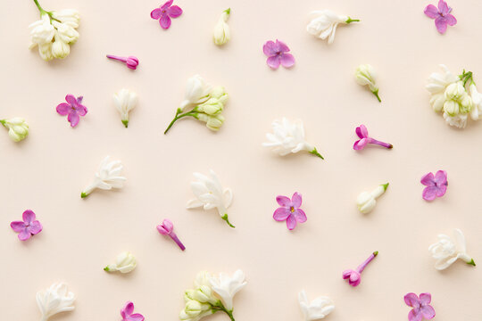 Scattered lilac flowers and petals on beige background, flat lay pattern
