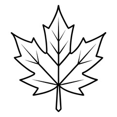 Simple line art drawing of a maple leaf with detailed veins. © Pixel Forge Studio