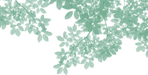 Overlapping green leaves and branches with textured effect © judge_miah
