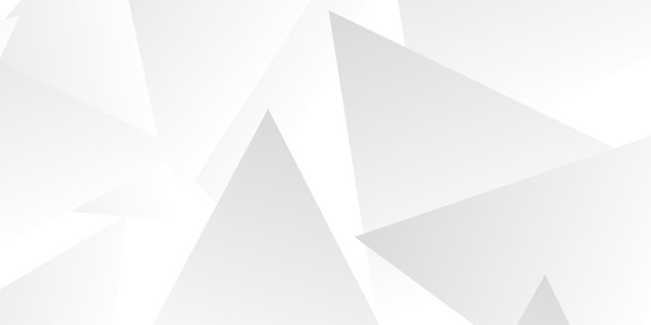 High-Tech Abstract Visual Background in a White and Gray Palette, Integrating Fine Geometric Lines, Diamond and Triangle Patterns. Geometric Grey Polygonal Background With Faceted Triangles .