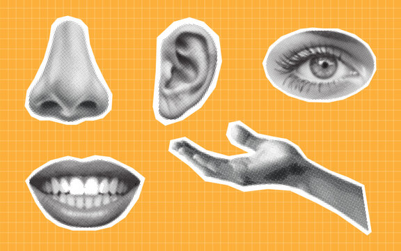 Halftone collage elements of five human sense,Human body parts in halftone texture elements, dotted retro style, vintage grunge vector illustration.