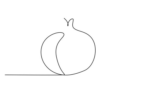 Pomegranate, minimalist line art, simple fruit icon, black and white illustration video