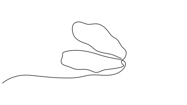 Minimalist oyster line art, simple shell illustration, black and white vector, seafood icon video