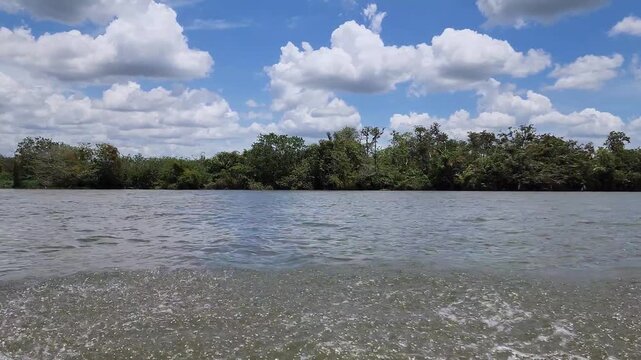 Bosque bajo las nubes a la orilla de un r&iacute;o