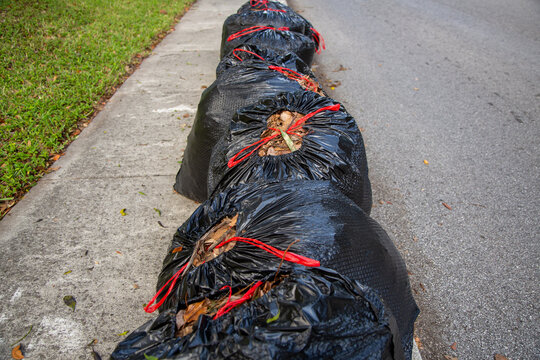 Garbage Bags Line the Curb on a Quiet Street During the Afternoon