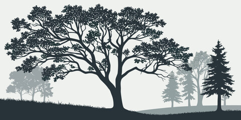 Landscape silhouette illustration featuring diverse forest trees landscape silhouette woodland environment vegetation deciduous wilderness botanical background illustration minimalist © Jannati