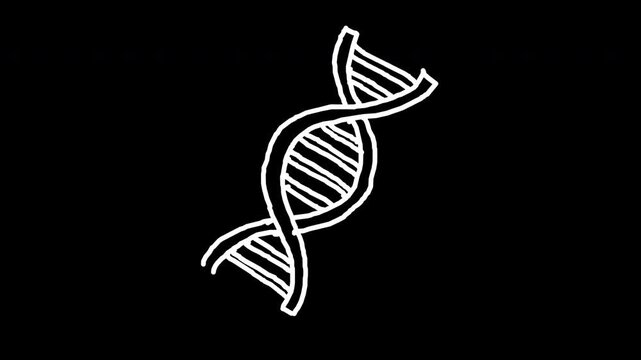 Hand drawn sketch of DNA double helix genetic biology illustration 4k animated video, alpha transparent video