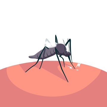 Close-up mosquito biting human skin with pain marks on pink surface, disease transmission vector illustration for malaria, dengue, insect bite awareness and tropical health education