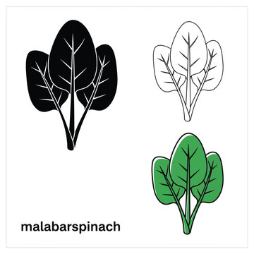 Malabar spinach leaves vector icons featuring silhouette and outline art designs.